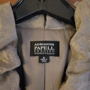 Adrianna Papell Shimmering Silver Jacket  and High Waisted Skirt